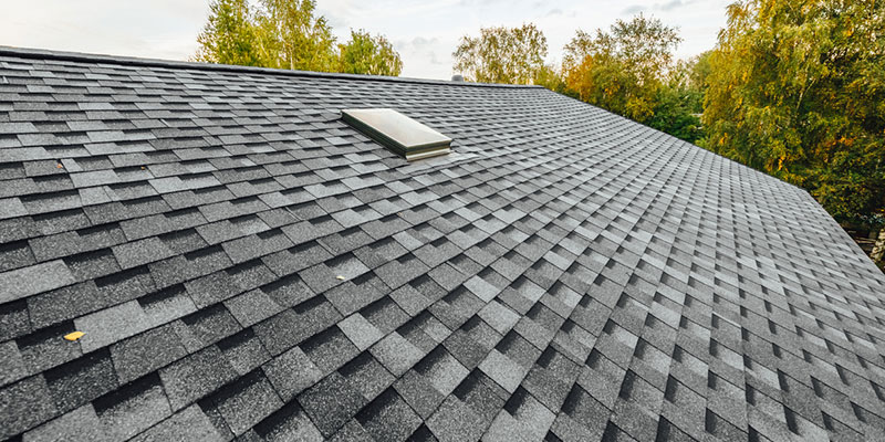 What Qualities Do the Best Roof Cleaning Companies Have in Common?