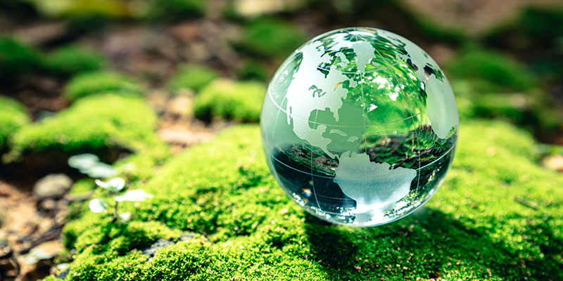 Softwashing: Helping the Planet With Each Exterior Wash