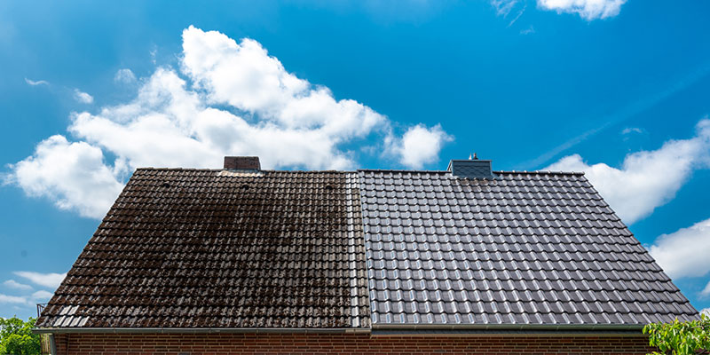 Three Clues You’re Due for Roof Cleaning Services