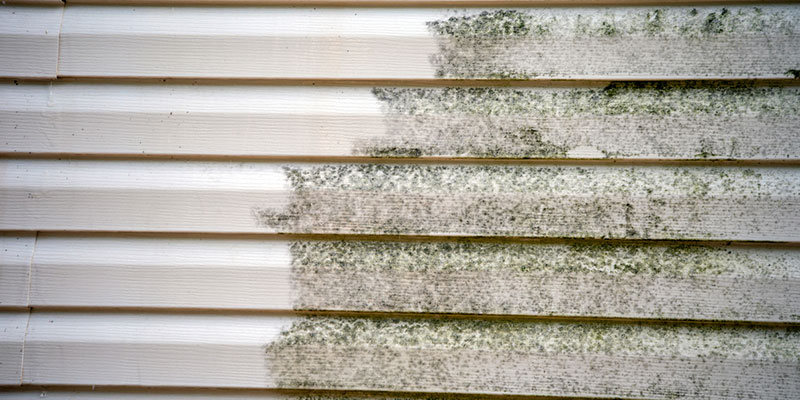 Softwashing vs. Pressure Washing Services