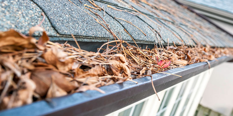 Three Signs to Schedule Gutter Cleaning Services
