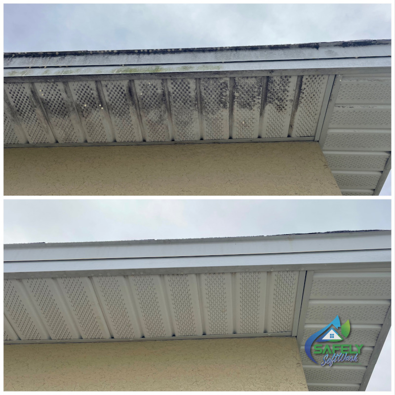 Exterior House Cleaning in Winter Garden, Florida