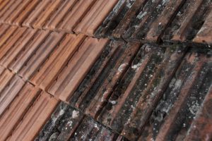 Finding Trustworthy Roof Cleaning Companies