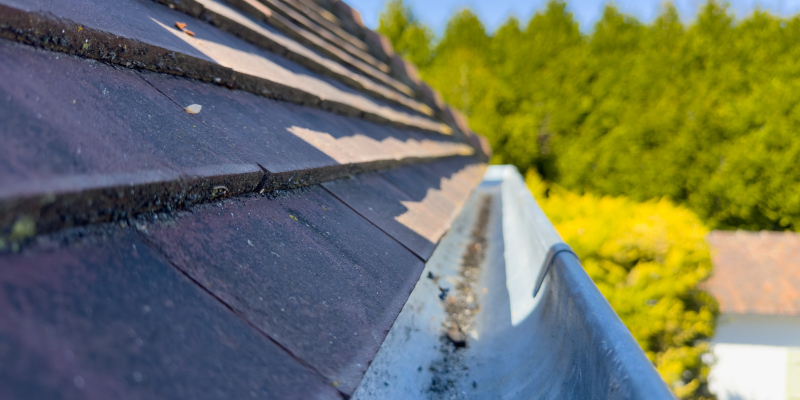 Three Reasons to Consider Professional Gutter Cleaning
